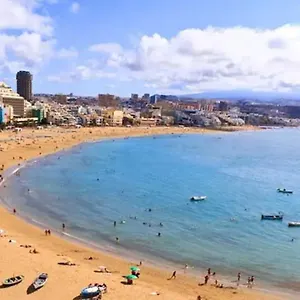 Nidillos Las Palmas / Gran Canaria